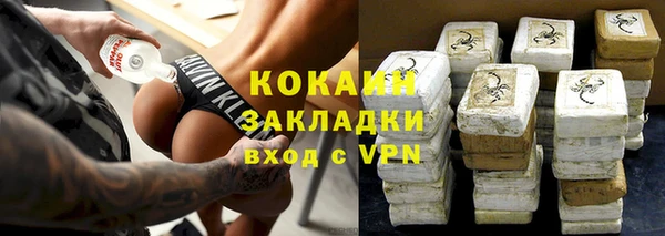 молекула духа Осташков