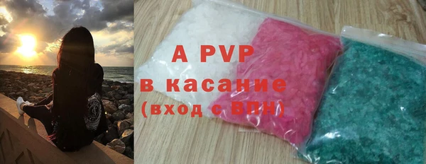 молекула духа Осташков