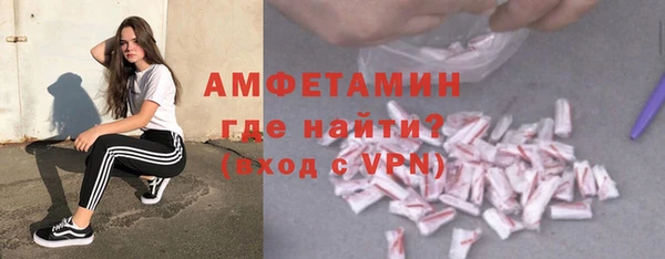 молекула духа Осташков