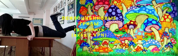 стафф Галич