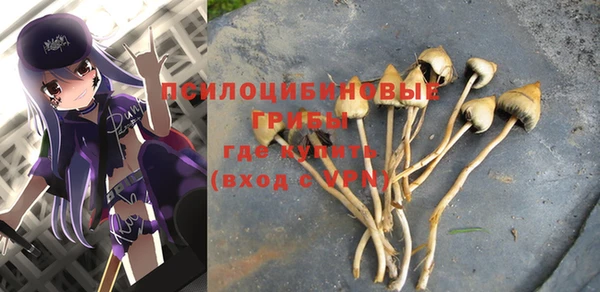винт Гатчина