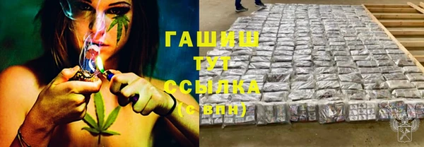 молекула духа Осташков