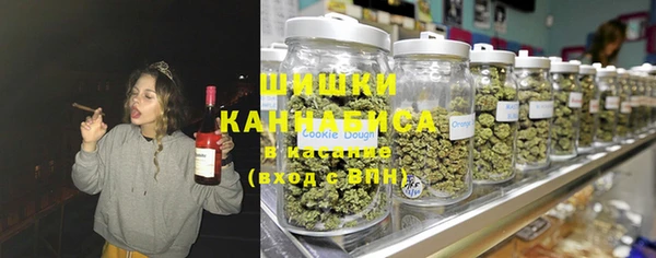 молекула духа Осташков
